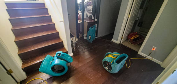 Best Residential water damage restoration  in Wofford Heights, CA
