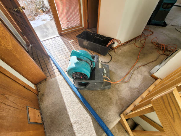 Best Fire Damage Restoration  in Wofford Heights, CA