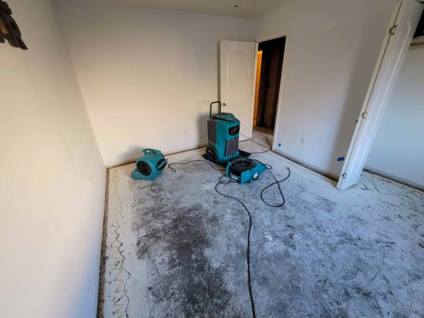 Best Mold removal after water damage  in Wofford Heights, CA