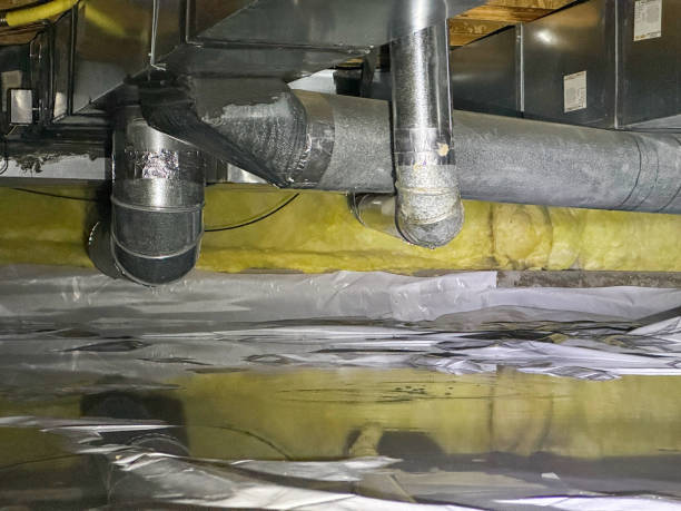 Best Water damage restoration near me  in Wofford Heights, CA