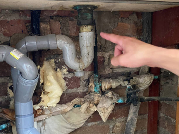 Best Water damage cleanup near me  in Wofford Heights, CA