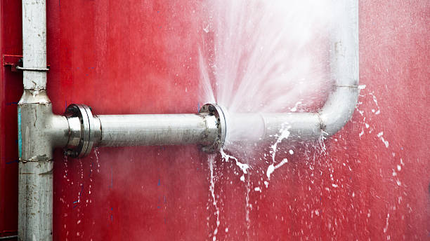 Best Mold removal after water damage  in Wofford Heights, CA